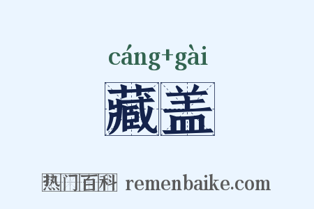 藏盖是什么意思的图片
